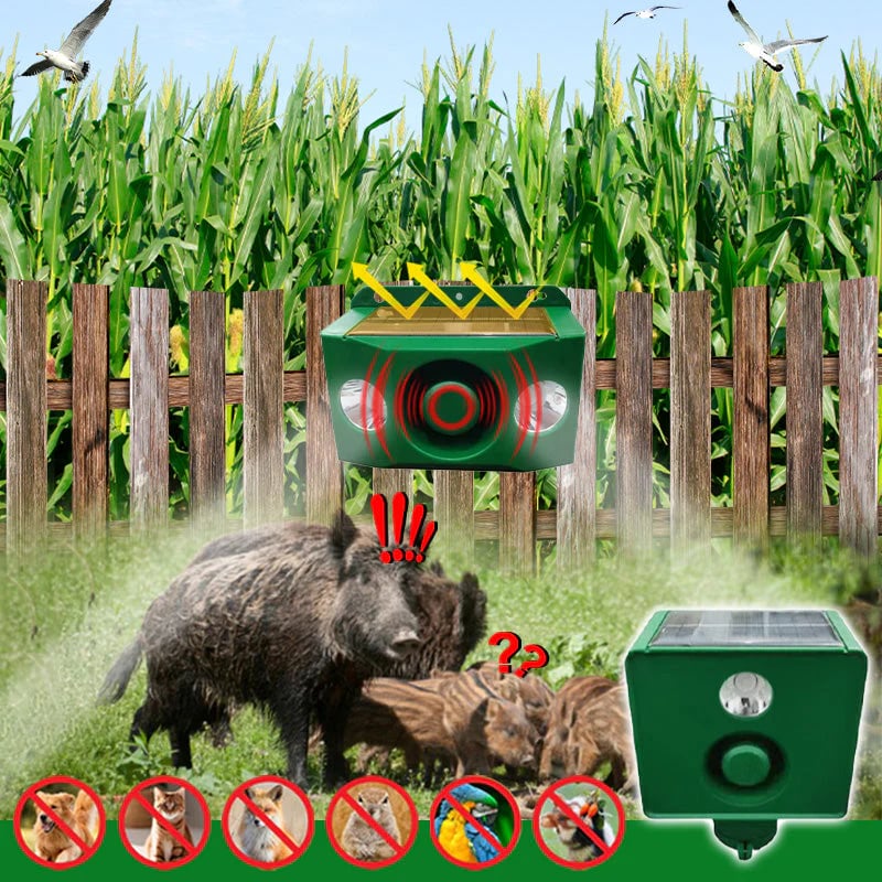 BUY 1 GET 1 FREE – High-Intensity Solar Predator Deterrent Lights for Protection