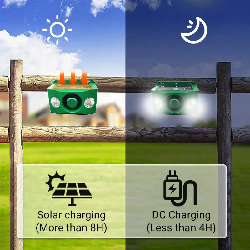 BUY 1 GET 1 FREE – High-Intensity Solar Predator Deterrent Lights for Protection